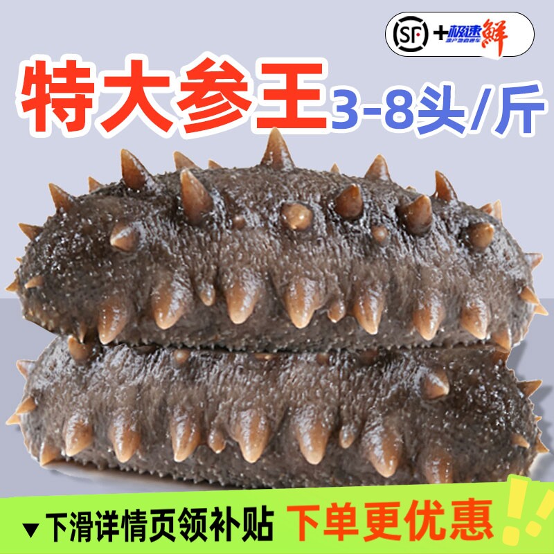 滋补海参即食辽参刺参大连