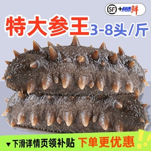 海参开袋即食大连鲜活野生辽参非干货刺参独立包装 真空袋海参