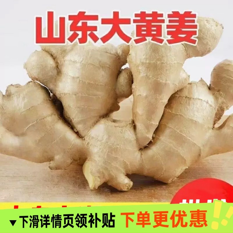 山东正宗生姜老姜大姜新鲜农家黄姜月子干姜农家种植姜块