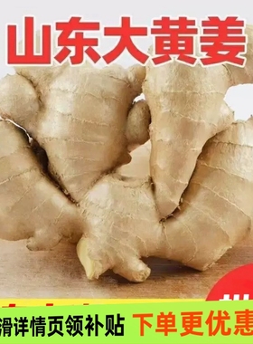 山东正宗生姜老姜大姜新鲜农家黄姜月子干姜农家种植姜块