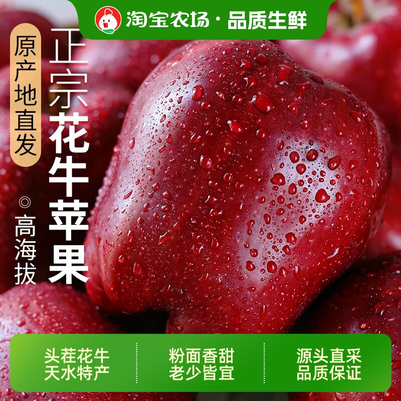 甘肃天水花牛苹果软糯新鲜水果整箱包邮农场直发正宗自然市场单果