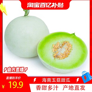 【恬果枝上】海南玉菇甜瓜新鲜水果当季整箱哈脆甜蜜瓜香瓜4.5斤