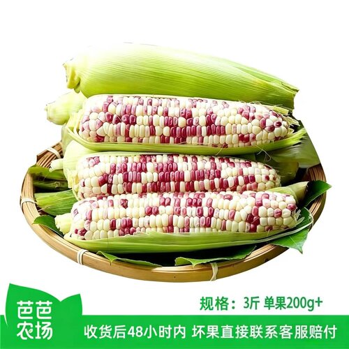 新鲜花糯玉米3斤单根200g+