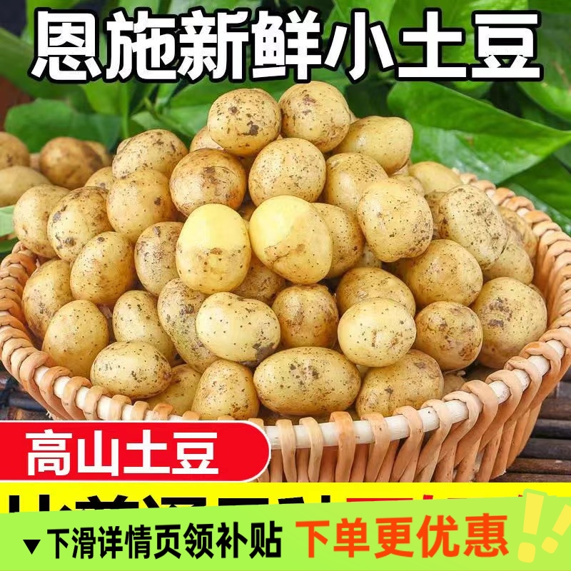 恩施小土豆高山迷你湖北黄心土豆黄皮黄心洋芋马铃薯力荐9斤