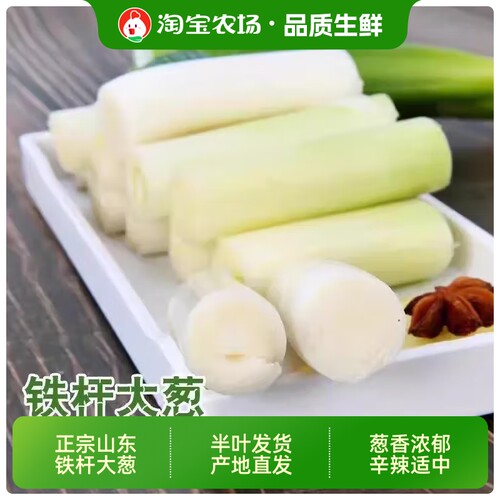 山东大葱新鲜铁杆去叶特产大葱