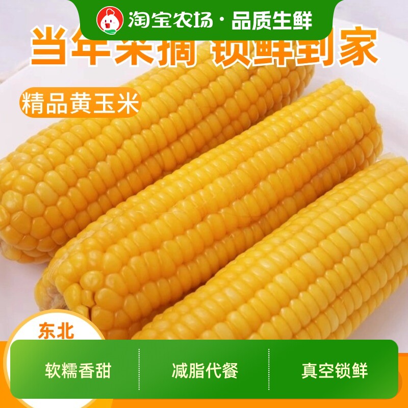 东北黄糯玉米棒粘糯玉米即食真空装玉米棒子代餐早餐新鲜低脂香甜
