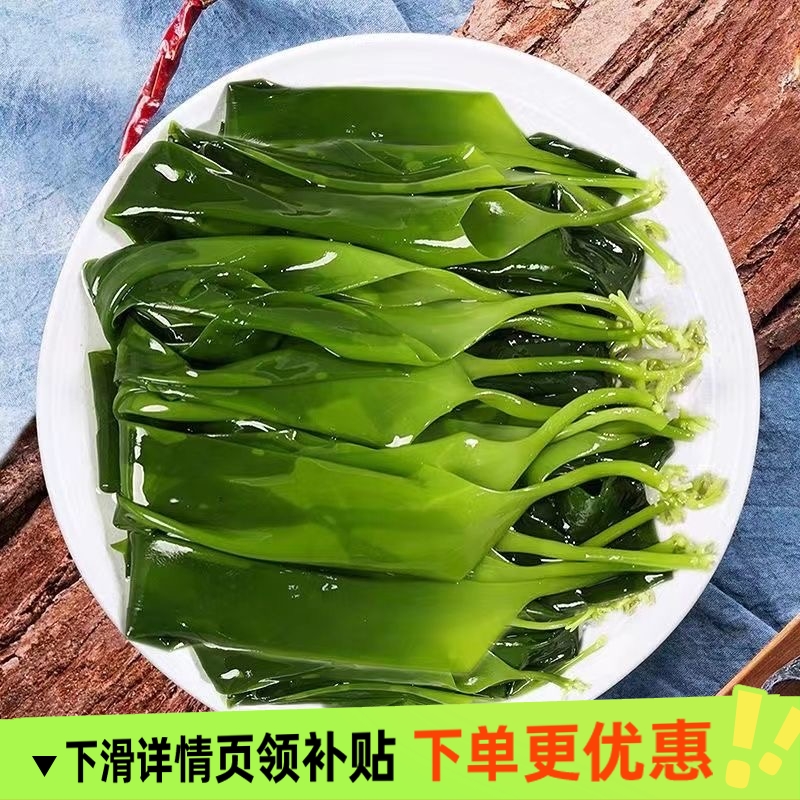 海带苗嫩干 霞浦新鲜一级海带嫩苗嫩芽 火锅天然海菜芽海鲜干货