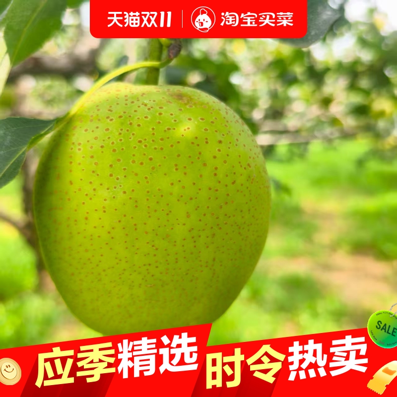 当季青皇冠梨新鲜水果梨子雪梨当季整箱应季水果包邮脆甜肉质