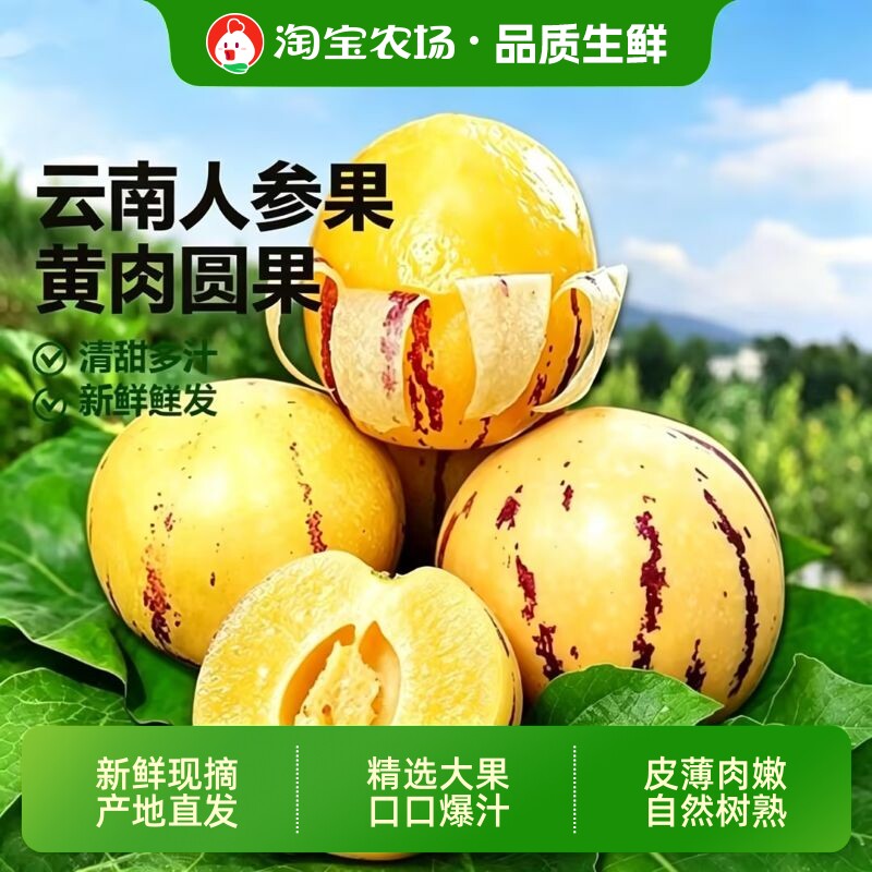 人参果新鲜水果云南石林树上熟人叁果整箱包邮现摘农场树熟直发