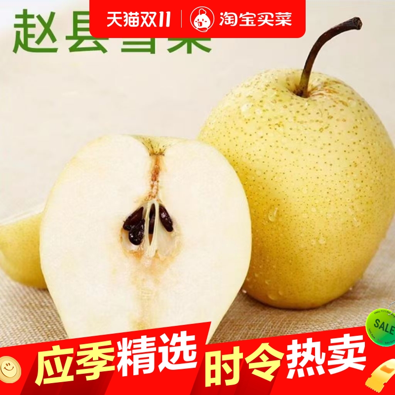正宗雪梨河北赵县雪花梨当季新鲜水果梨子熬梨水秋梨膏冰糖雪梨