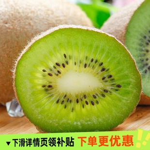 岭上味语GAP基地直发陕西翠香猕猴桃香甜可口新鲜采摘头茬奇异果