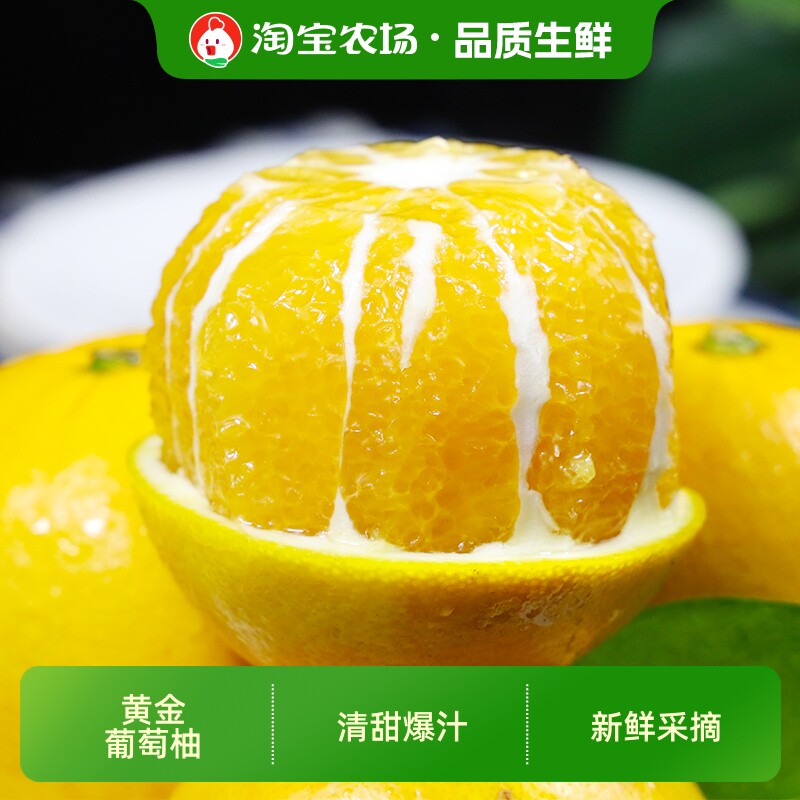 福建黄金葡萄柚黄皮柚子新鲜水果应当季黄蜜柚金文甜西柚整箱包邮