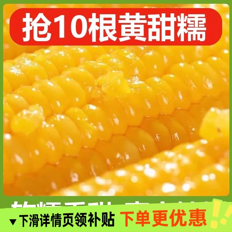 2025正宗东北新鲜黄糯玉米软糯拉丝独立真空包装寒地黑土一年一季,水产肉类/新鲜蔬果/熟食,新鲜玉米,淘宝优惠券,粉丝福利购,淘宝优惠卷