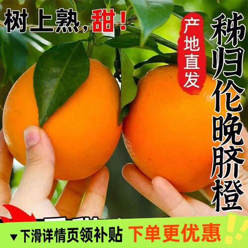 秭归伦晚脐橙子湖北手剥橙果冻整箱橙子水果新鲜应当季大果榨汁