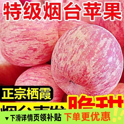 烟台红富士苹果新鲜水果水果
