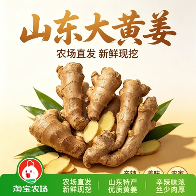 老姜山东大黄姜大块水洗风干新鲜生姜食用农场直发正宗优质泡脚