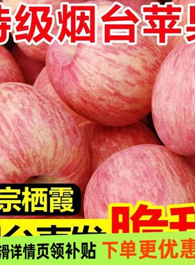 山东正宗烟台红富士苹果新鲜水果当季水果脆甜整箱好果批发现摘
