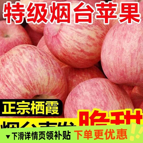 山东正宗烟台红富士苹果新鲜水果