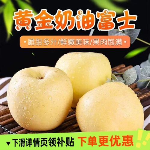 【产地直发】山东烟台黄金奶油富士苹果脆甜当季正宗新鲜水果整箱