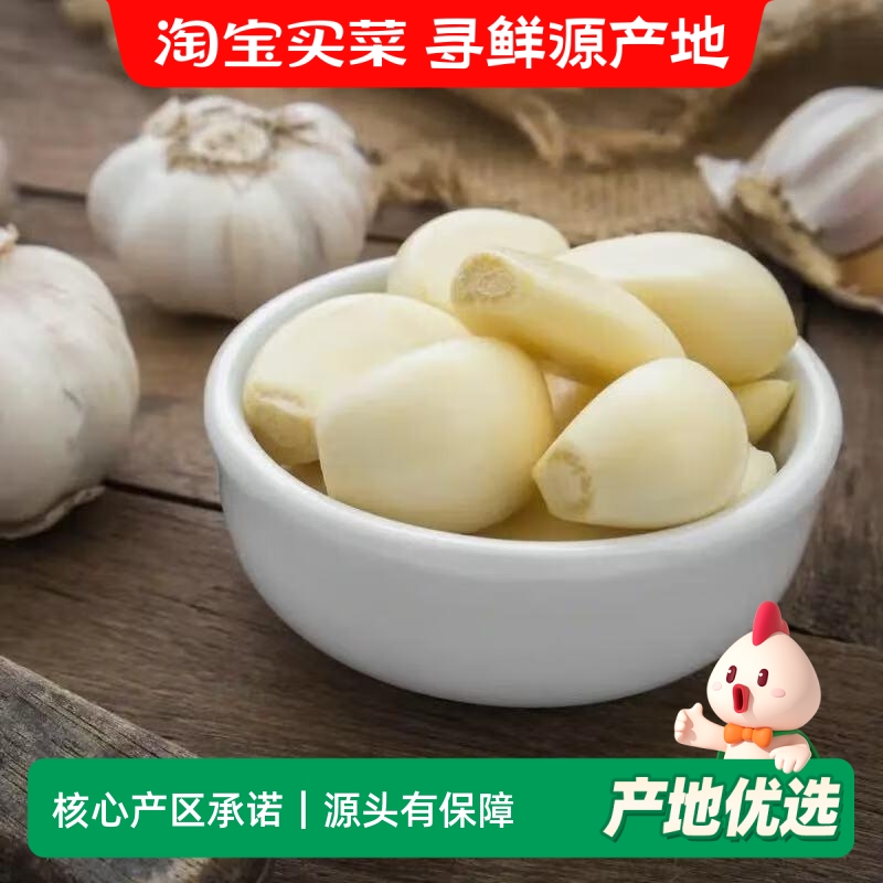 超低价山东金乡紫皮大蒜头批发新鲜晒干特大蒜种子农家调味蒜