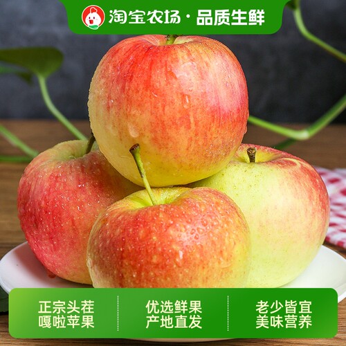 2026新鲜嘎啦苹果应当季水果小苹果冰糖批发整箱包邮种植脆甜优质
