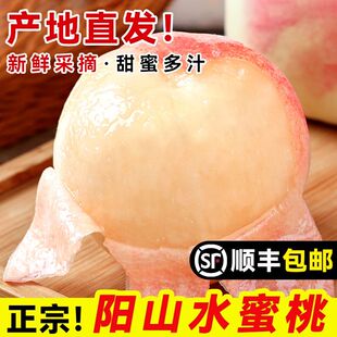 正宗无锡阳山水蜜桃子应当季现摘新鲜水果湖景白凤毛整箱顺丰包邮