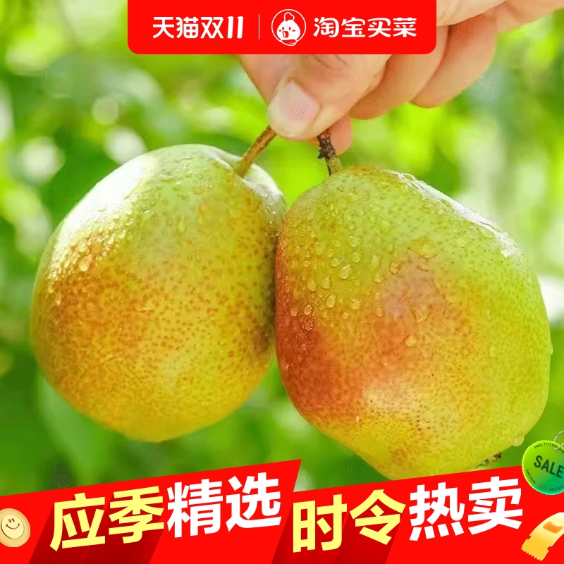 新疆库尔勒香梨皮薄核小梨中王子新鲜水果