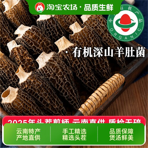 干货羊肚菌特产级云南新鲜羊肚菌特级野生蘑菇菌菇汤料包头茬剪柄