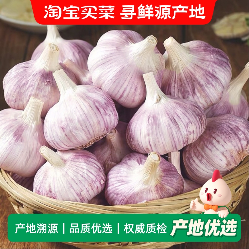 金乡紫皮新干蒜大蒜头干蒜5斤新鲜农家新蒜头优质批发