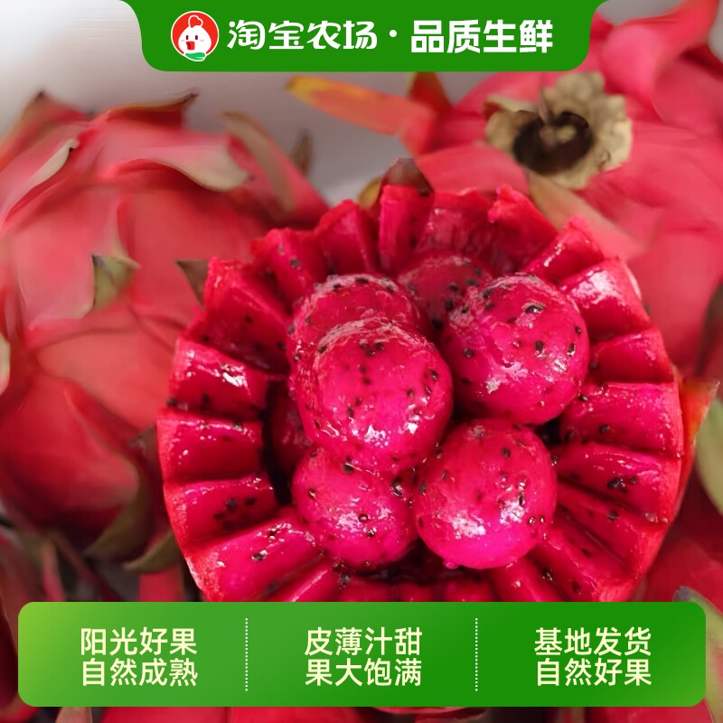 红心火龙果金都一号蜜甜广西红肉口感细腻清香爽口当季保存农场
