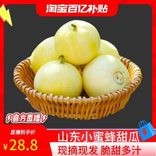 小蜜蜂甜瓜糖宝宝蜜罐甜脆白糖罐当季新鲜水果