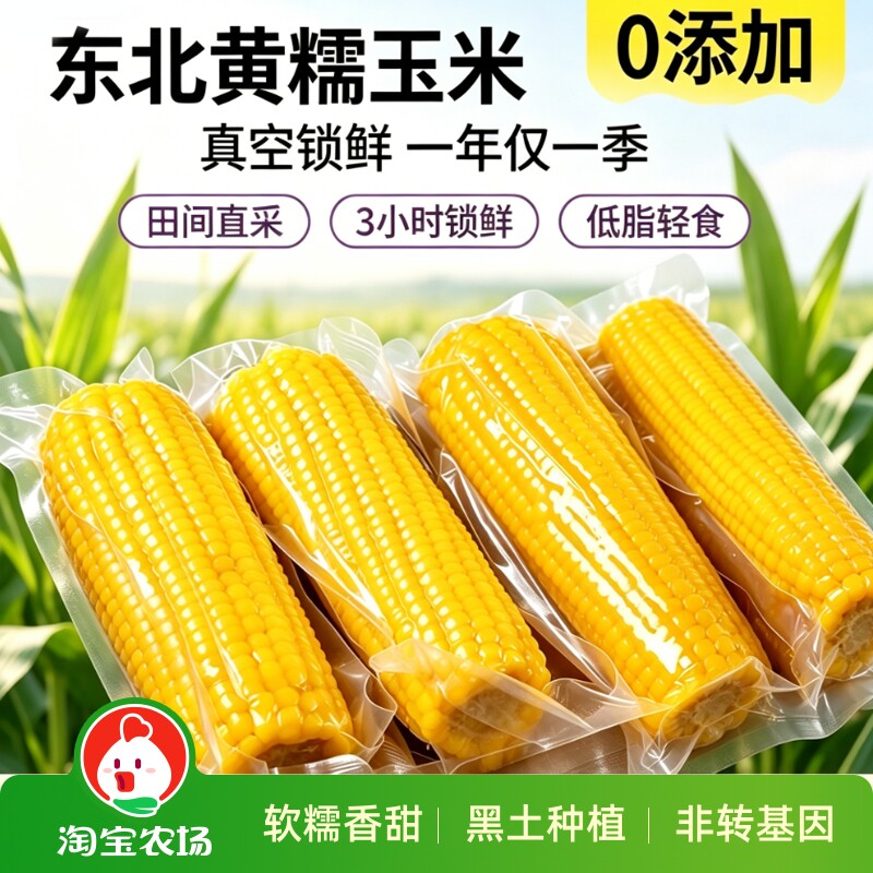 东北黄糯玉米甜糯粘玉米棒真空包装黏玉米新鲜玉米香甜代餐农场