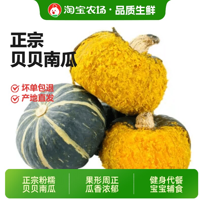 正宗贝贝南瓜栗香浓郁现摘蔬菜粉糯香甜产地直发黄金粗粮宝宝辅食