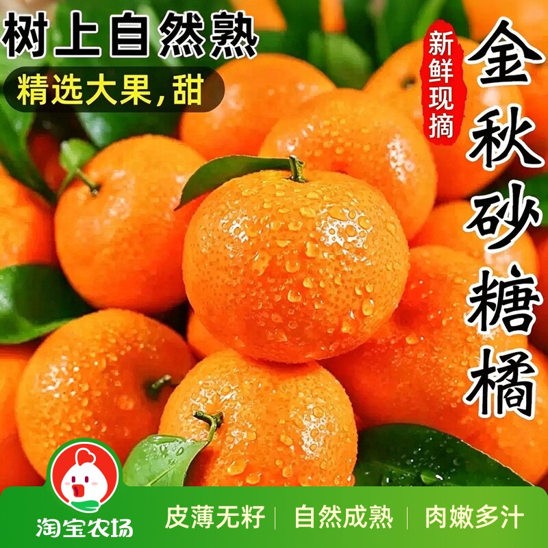 正宗云南金秋砂糖橘应当季新鲜水果现摘无籽蜜橘小桔子甜整箱包邮