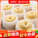 白皇冠梨脆甜多汁果园直采5斤新鲜水果整箱 包邮