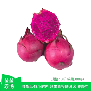 【芭芭农场兑换专享】红心火龙果3斤单果300g+