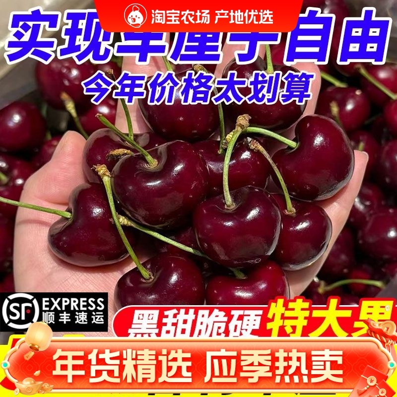 智利进口正宗桑提娜车厘子5斤礼盒新鲜大樱桃黑珍珠水果顺丰包邮,水产肉类/新鲜蔬果/熟食,车厘子/樱桃,淘宝优惠券,粉丝福利购,淘宝优惠卷