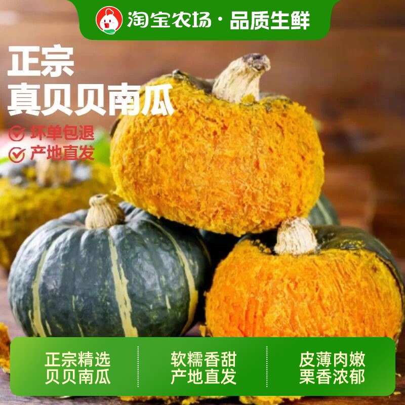 正宗贝贝小南瓜粉糯香甜板栗味新鲜蔬菜宝宝辅食黄金美食农场营养