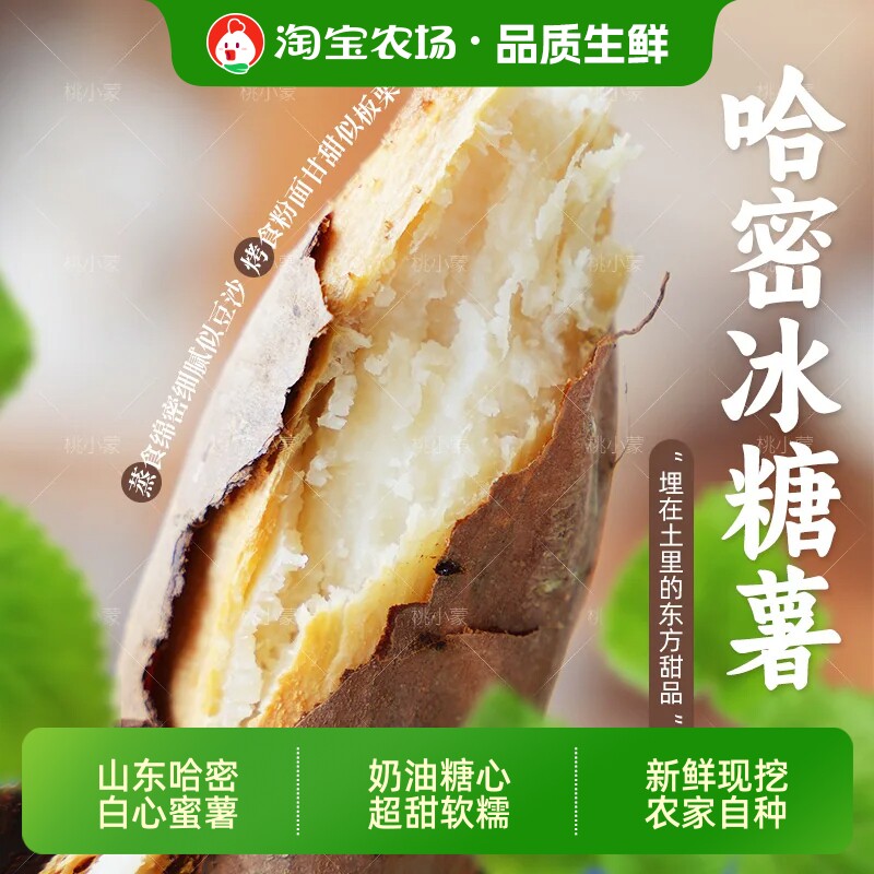 山东哈密白心蜜薯奶油糖心番地瓜新鲜现挖农家自种沙地白玉正宗