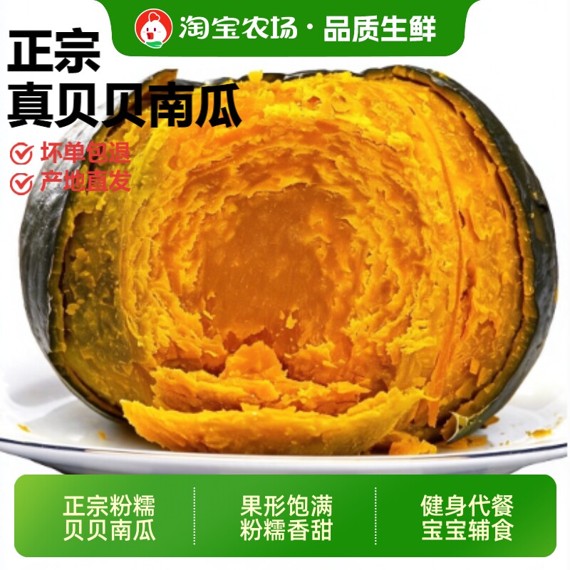正宗板栗味贝贝小南瓜粉糯香甜黄金粗粮宝宝辅食产地直发新鲜蔬菜