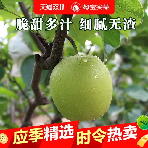河北青皮梨子新鲜水果翠玉蜜梨当季翠冠梨脆甜多汁酥梨