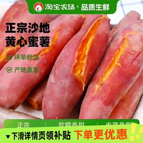 沙地蜜薯红薯新鲜番薯9斤装现挖糖心农家自种26年早餐农场软糯