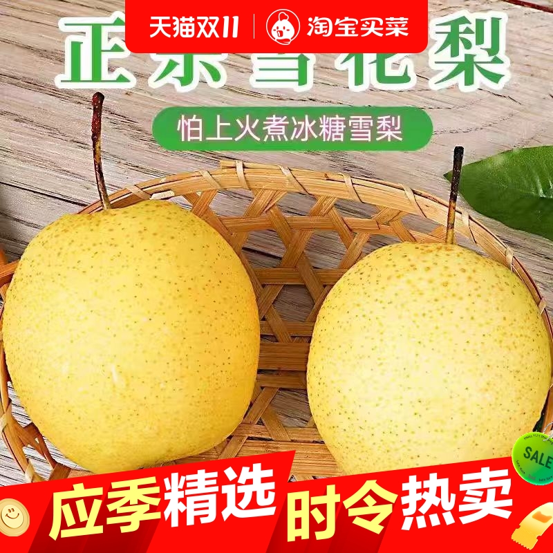 雪花梨赵县新鲜梨包邮雪梨水果新鲜当季梨子新鲜冰糖雪梨整箱