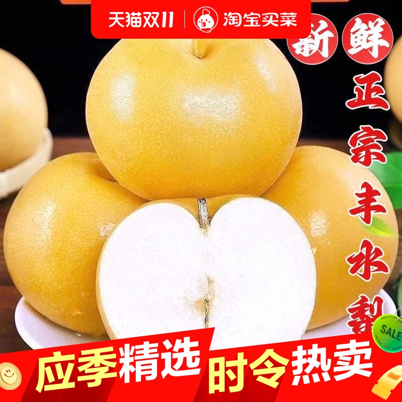 丰水梨黄梨水果梨新鲜现摘新鲜脆甜3斤5斤梨子新鲜现摘脆甜多汁