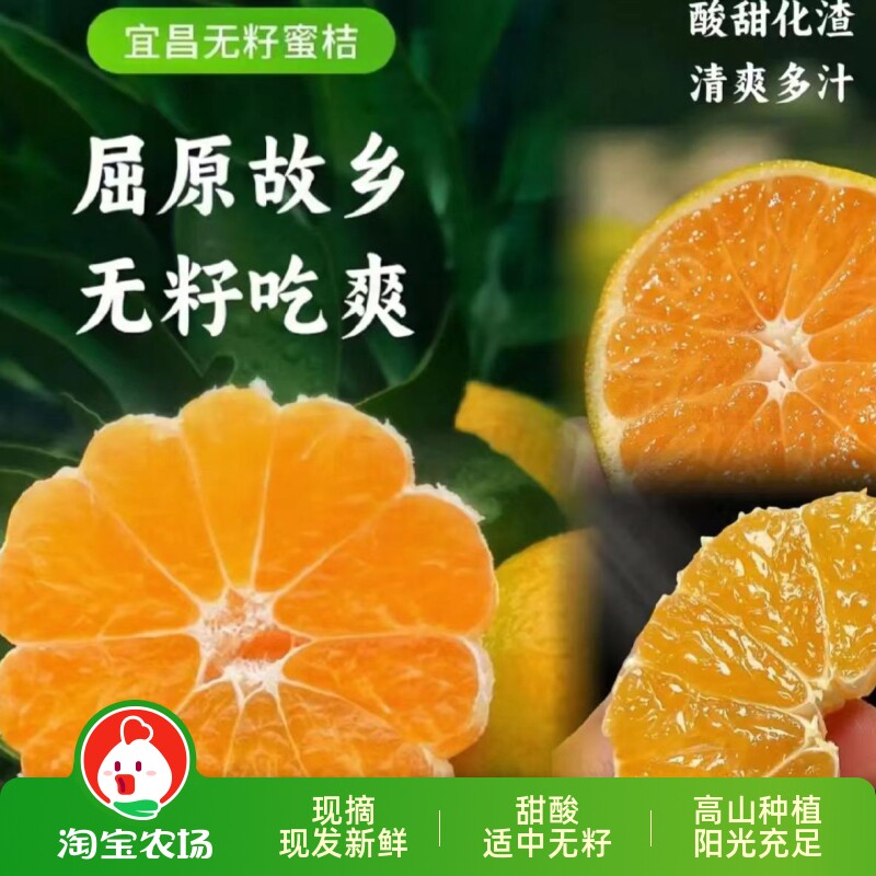 橘子水果新鲜桔子现货现摘青皮蜜桔应季时令孕妇酸桔农场无籽每日
