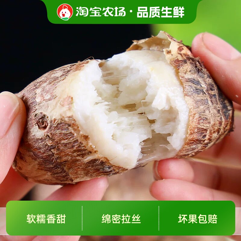 贵州高原牛奶小芋头当季新鲜蔬菜时令生鲜农产品早餐包邮农场软糯
