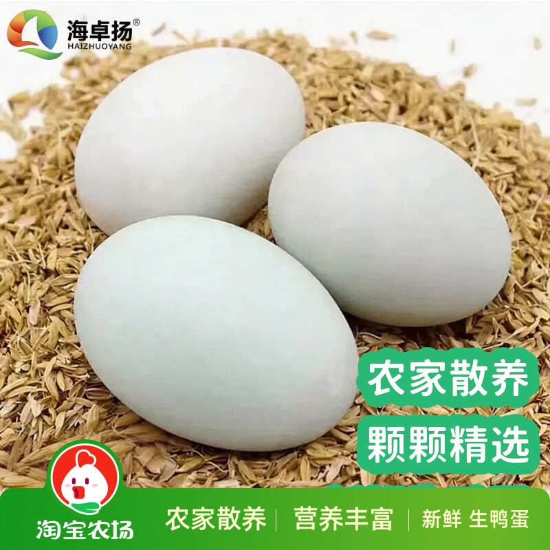 生鸭蛋50g-60g新鲜正宗散养非青壳农家鲜鸭蛋蛋黄鲜生农场
