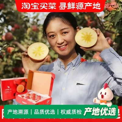 红旗坡六队新疆阿克苏冰糖心红富士苹果8斤 新鲜当季水果脆甜苹果