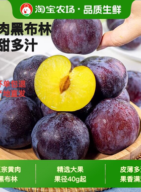 黑布林李子黄肉新鲜时令水果当季整箱恐龙蛋脆甜黑宝石黑金刚酸甜