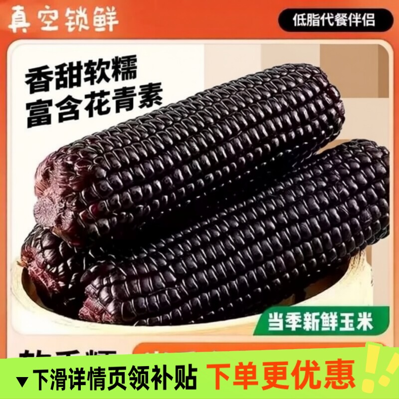 香甜黏糯玉米东北黑玉米真空装2025新鲜加热即食代餐低脂粗粮软糯